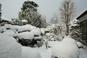 雪の積もった庭