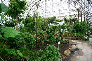 鳴子熱帯植物園