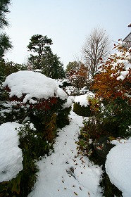 雪が積もった庭　午後１時
