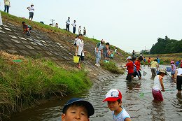 田尻川で魚とり4